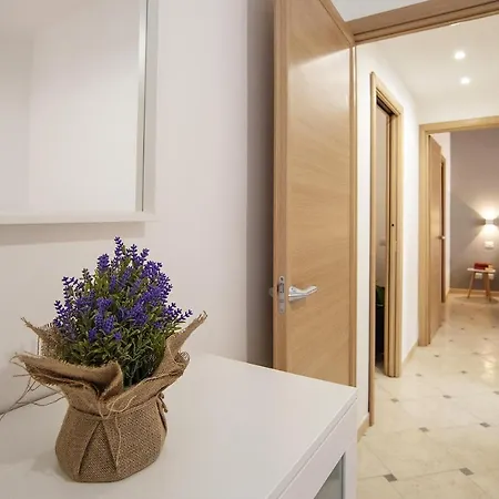 Cosy 5 Minutes From St Peter * Rome